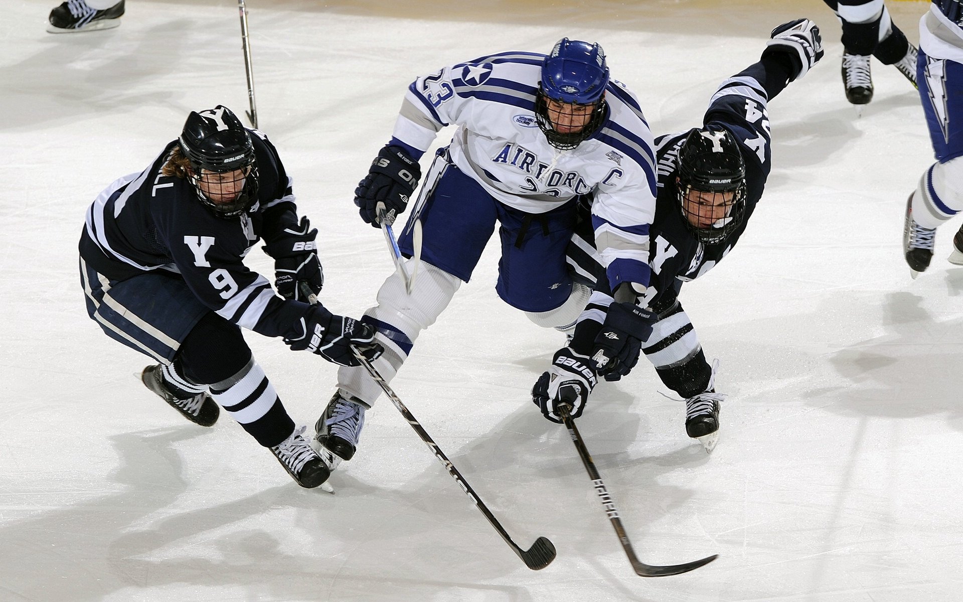 摩洛哥马术协会与科技公司合作,开发虚拟现实训练平台,提升骑手技能。